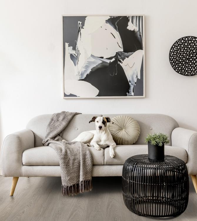 Greenland Grey salon