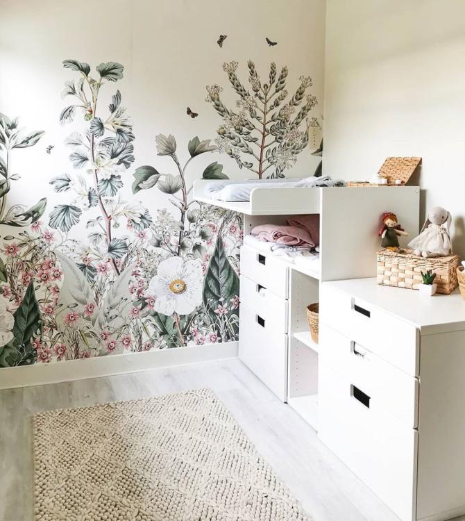 The world of jaia The world of jaia