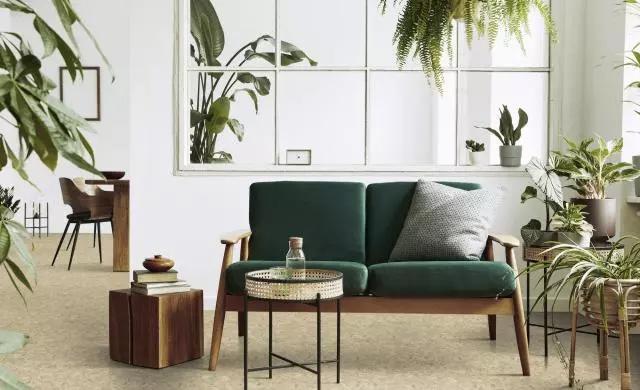 A green two seater sofa in a lving room with a lot of plants.